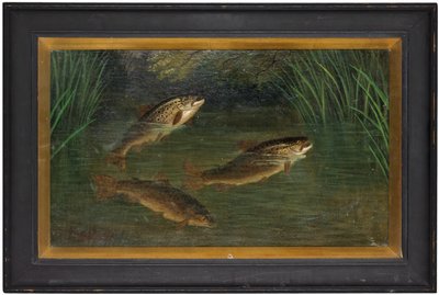 Forel in een rivier door A. Roland Knight