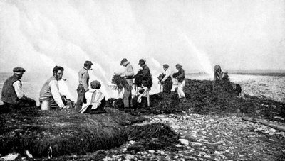 Brandend zeewier voor kelp, Aran-eilanden, Ierland, 1922 door A. W. Cutler