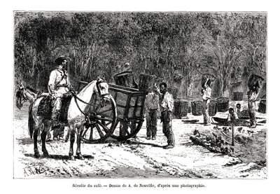Koffie oogsten, Brazilië, 19e eeuw door A. de Neuville