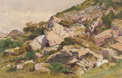 Studie van stenen aan de noordkant van Taliaris, nabij Llandeilo, Zuid-Wales door Aaron Edwin Penley