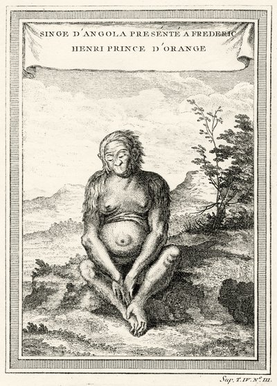 Illustratie van de Orang-Oetang gepresenteerd aan Frederik Hendrik, Prins van Oranje, 1750 door Abbé Prévost