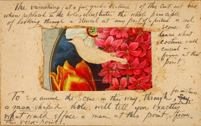 Vogelstencil, studiemap voor boek Concealing Coloration in the Animal Kingdom door Abbott Handerson Thayer