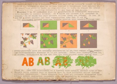 Diagramm und Kupferkopfschlange, Studienmappe für das Buch Concealing Coloration in the Animal Kingdom door Abbott Handerson Thayer