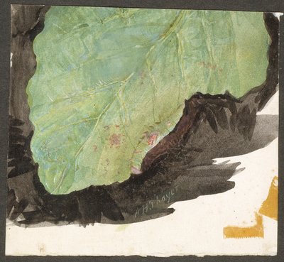 Heterocampa Biundata, Walker, studie voor boek Concealing Coloration in the Animal Kingdom door Abbott Handerson Thayer