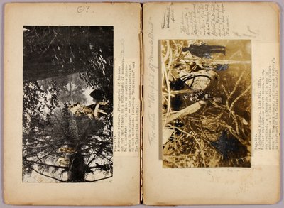 N. Amerikaanse Indianen, studiemap voor boek Concealing Coloration in the Animal Kingdom door Abbott Handerson Thayer