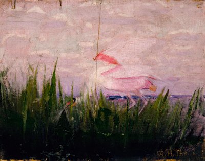 Roseate Spoonbill, studie voor boek Concealing Coloration in the Animal Kingdom door Abbott Handerson Thayer
