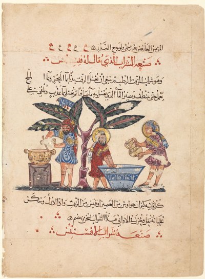 Folio uit een Arabische vertaling van de Materia Medica van Dioscorides door Abdallah ibn al Fadl (Iraq)
