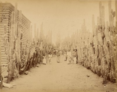 Mexico. Straat van het dorp San Juan, staat Mexico. door Abel Briquet
