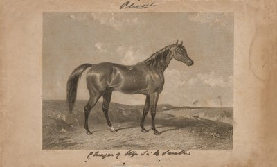 Aliwal, het eigendom van Sir Harry Smith, Bart door Abraham (after) Cooper