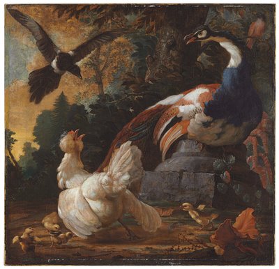 Een pauw, pluimvee en een ekster in een landschap, 1720 door Abraham Bisschop