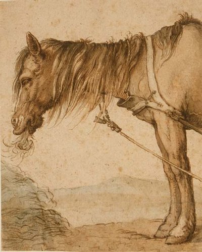 Een Paard dat Hooi Eet, c.1600-10 door Abraham Bloemaert