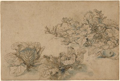 Onderzoek naar een mergplant en koolsoorten door Abraham Bloemaert