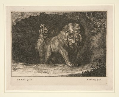 Lions. From the series door Abraham Blooteling
