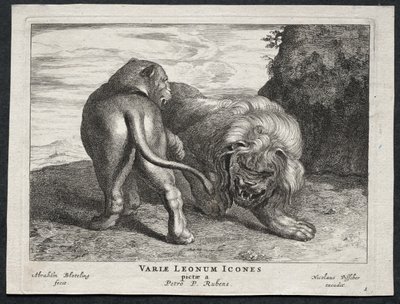 Verschillende Leeuwen door Abraham Blooteling