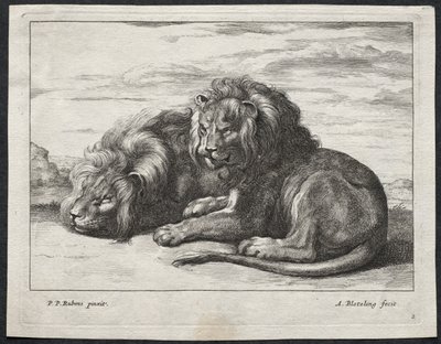 Verschillende Leeuwen door Abraham Blooteling