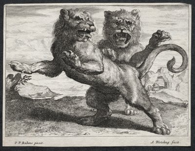 Verschillende Leeuwen door Abraham Blooteling
