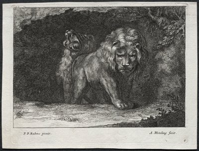 Verschillende Leeuwen door Abraham Blooteling
