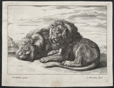 Verschillende Leeuwen door Abraham Blooteling
