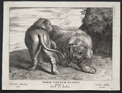 Verschillende leeuwen door Abraham Blooteling