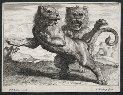 Verschillende Leeuwen door Abraham Blooteling