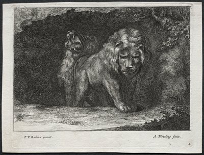 Verschillende Leeuwen door Abraham Blooteling