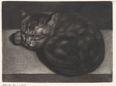 Slapende kat door Abraham Bloteling