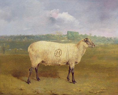 Een Prijs Ooi met monogram 