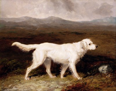 Charles Brett