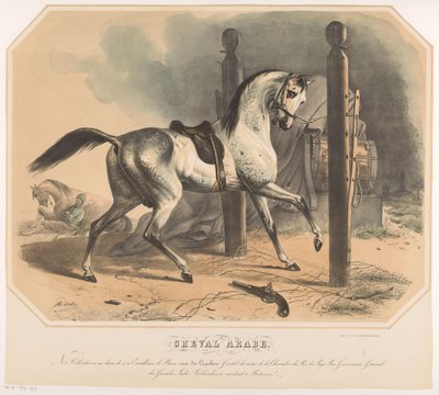 Arabisch paard van Godert van der Capellen door Abraham Hendrik Winter
