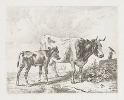 Koe en een kalf in een weiland door Abraham Hendrik Winter