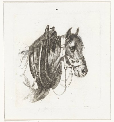 Paardenhoofd met hoofdstel, gareel en zadel door Abraham Hendrik Winter