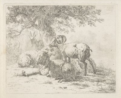 Schapen en een bok door Abraham Hendrik Winter