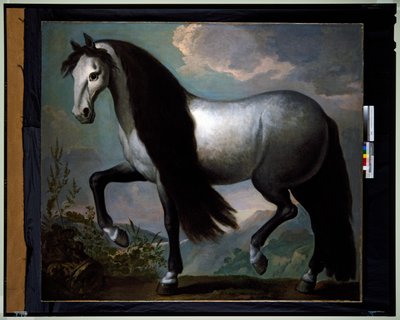 Paard in een Landschap door Abraham Jansz. van Diepenbeeck