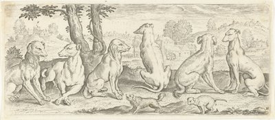 Honden door Abraham de Bruyn (possibly)