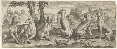 Honden door Abraham de Bruyn (possibly)