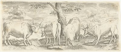 Koeien, een stier en een os door Abraham de Bruyn (possibly)