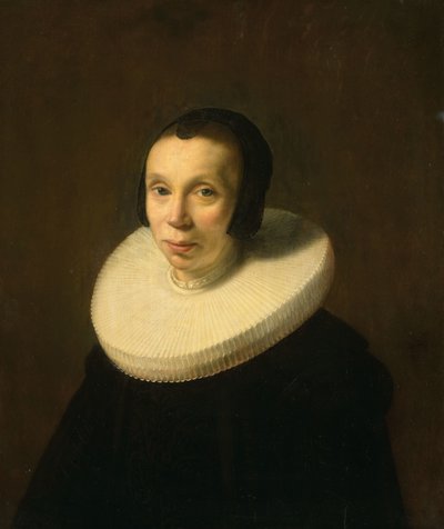 Portret van een vrouw door Abraham de Vries