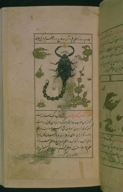 Constellaties van de Dierenriem: Schorpioen, de Schorpioen, uit Talim dar marifat i taqvuim, 1498 (903 Hijra) door Abu Jafar al Tabari