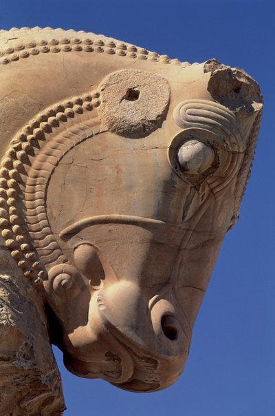 Stierenkop op het noordelijke portiek van de Troonzaal van Xerxes door Achaemenid
