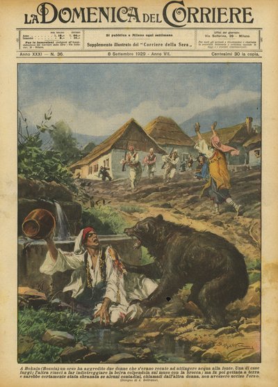 In Bokain (Bosnië) heeft een beer twee vrouwen aangevallen die water gingen halen bij de bron door Achille Beltrame