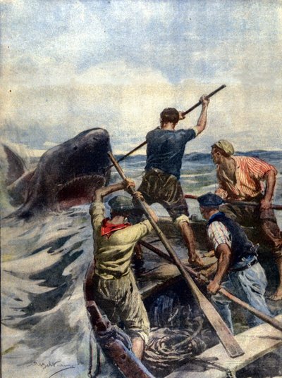 Een confrontatie tussen Siciliaanse vissers en een enorme tijgerhaai eindigde met de vangst van het zeemonster dat 12 kwintaal woog. Ill. door A. Beltrame. La Domenica del Corriere. 1908 door Achille Beltrame