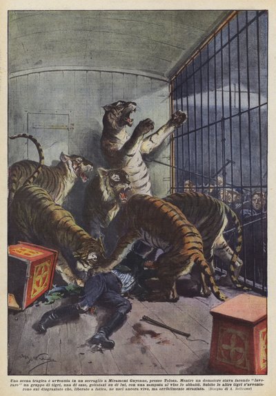 Een tragische scène vond plaats in een menagerie in Miramont Guyenne, nabij Toulouse door Achille Beltrame
