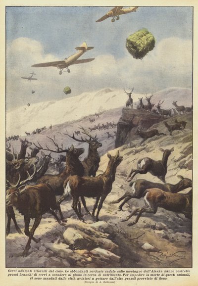 Hongerige herten bevoorraad vanuit de lucht door Achille Beltrame