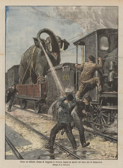 Hoe een olifant, moe van het reizen per trein, de voortgang van de trein die hem vervoerde verhinderde door Achille Beltrame