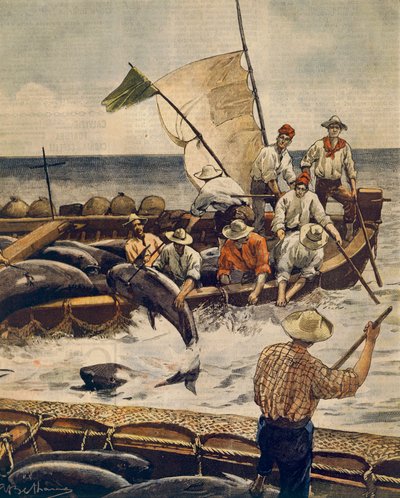 Buitengewone blauwvintonijnvisserij op Piana-eiland, Sardinië door Achille Beltrame