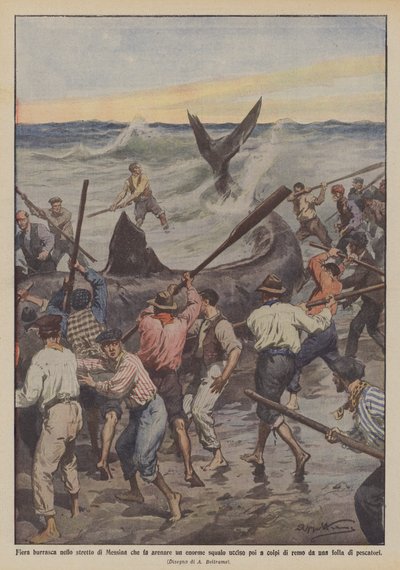 Hevige storm in de Straat van Messina die een enorme haai aan land bracht, later gedood met roeispanen door Achille Beltrame