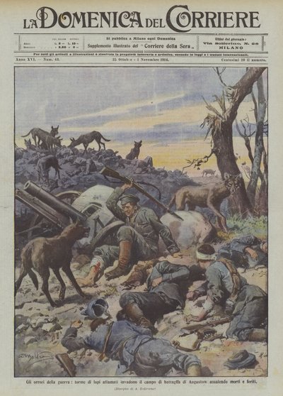 De verschrikkingen van de oorlog, hongerige wolven zwermen over het slagveld van Augustow en vallen doden en gewonden aan door Achille Beltrame