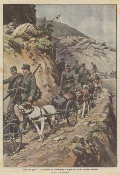 Honden in de oorlog, het transport van watervoorzieningen naar onze voorste posities door Achille Beltrame