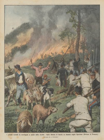 De grote bosbranden als gevolg van de droogte, uitgestrekte bosgebieden in brand door Achille Beltrame