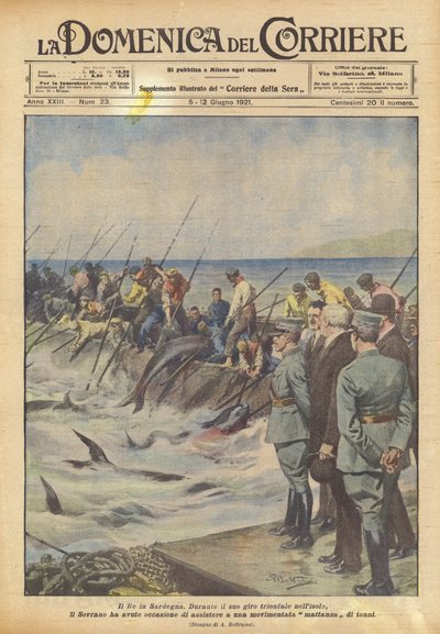 De koning in Sardinië door Achille Beltrame